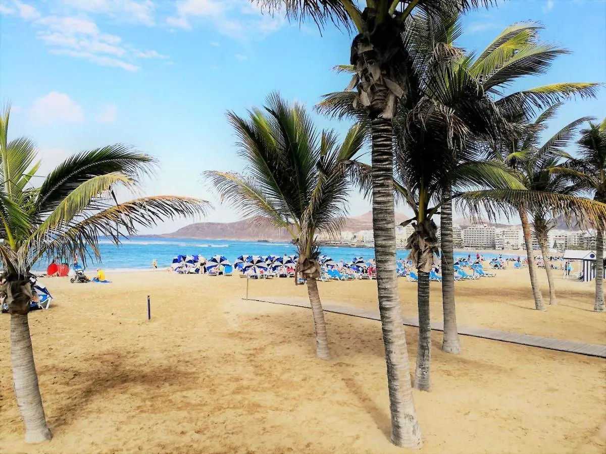 Cosy Flat In The Heart Of Las Palmas 38 M² Fast Internet 0*, Las Palmas de Gran Canaria